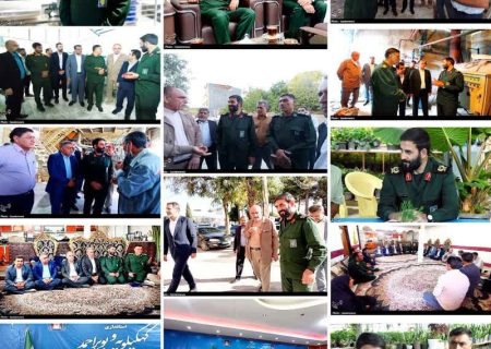 راهبرد «دفاع موزاییکی اقتصادی» برای خودکفایی
