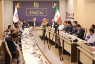 باورمندی دولت به حسن ‌شهرت و بزرگ‌زادگی اصناف؛ تقدیر سخنگوی دولت از بسیج اصناف