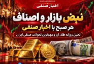 جهش دلار و طلا در بازار؛ چک رمزدار کنار رفت و نظارت بر اصناف تشدید شد